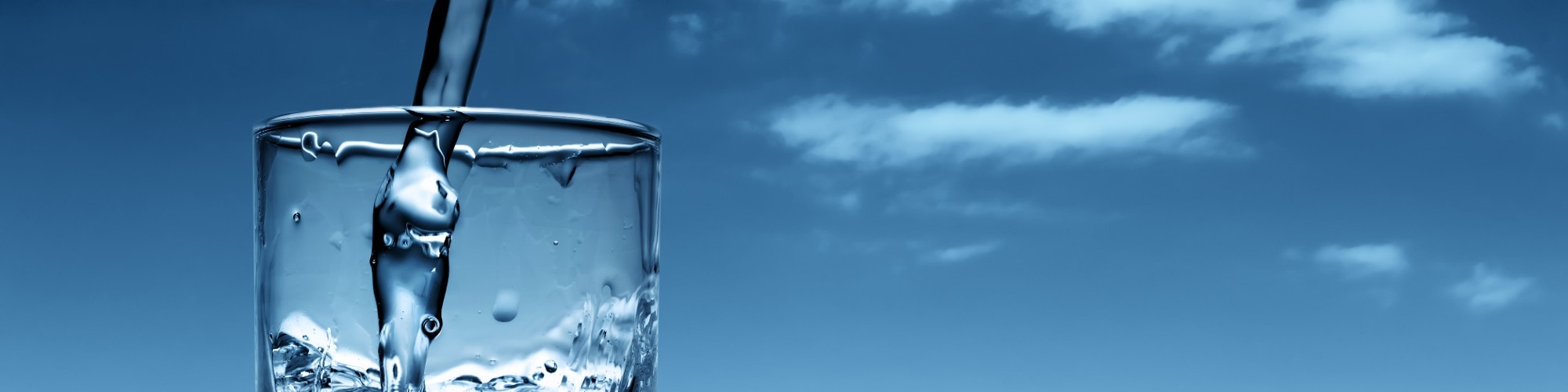 Purification Systems